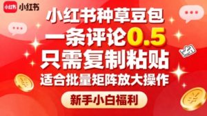小红书种草豆包,一条评论0.5,只需复制粘贴,适合批量矩阵放大操作,新手小白福利-升阶有道