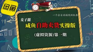 麦子甜咸鱼自助卖货实操版(虚拟资源)一个会自动搞钱的机器-升阶有道