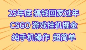 25年底搞钱回家过年,CSGO游戏挂G掘金,纯手机操作超简单【揭秘】-升阶有道