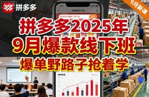 拼多多2025年9月爆款线下班,爆单野路子抢着学-升阶有道