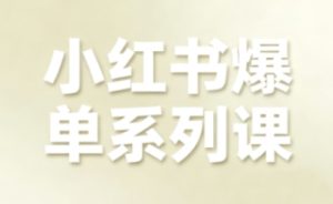 小红书爆单系列课,聚焦小红书电商全链路增长-升阶有道