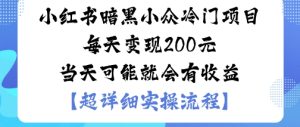 小红书暗黑小众冷门项目每天变现2张当天可能就会有收益-升阶有道