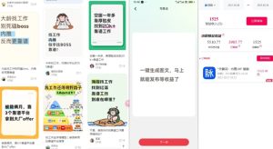 毕业生求职项目拆解_脉脉拉新空白市场,蓝海开局-升阶有道