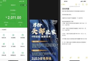 外面收费980全新男粉变现项目,竞争小,利润高,多种方式变现,独家技术-升阶有道