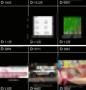 抖音引流创业粉教程,创业粉终于跑通了,私域是永远的王-升阶有道