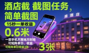 酒店截图任务,简单截图,15秒一单收益0.6米,一部手机不限地方时间,可矩阵单日收益3张【揭秘】-升阶有道