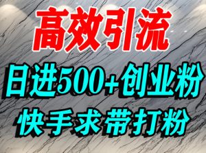 怎么打创业粉？快手求带视角精准引流创业粉，宝妈、学生群体日进500+精准流量-升阶有道
