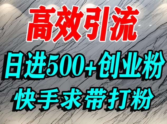 怎么打创业粉？快手求带视角精准引流创业粉，宝妈、学生群体日进500+精准流量-升阶有道