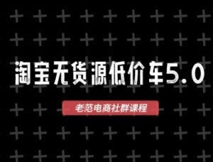 淘宝无货源价车5.0，​2025最新VIP淘宝无货源课程，1688代发，蓝海选品，零成本创业首选（更新）-升阶有道