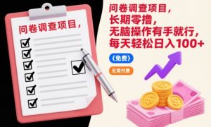 问卷调查项目,长期零撸,无脑操作有手就行,每天轻松日入100+【揭秘】-升阶有道