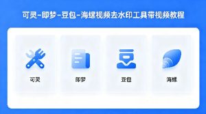 可灵–即梦–豆包–海螺视频去水印工具带视频教程-升阶有道