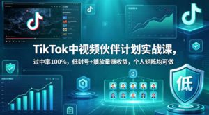 TikTok中视频伙伴计划实战课，过中率100%，低封号+播放量賺收益，个人矩阵均可做-升阶有道