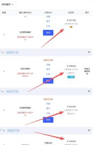 【超强副业】淘宝超高价女装项目：1单賺1k+，可工作室放大（共52节）-升阶有道