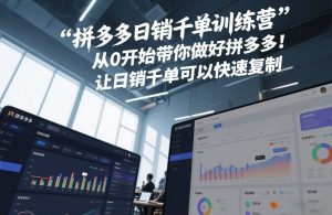 拼多多日销千单训练营，从0开始带你做好拼多多，让日销千单可以快速复制(更新26年4月)-升阶有道