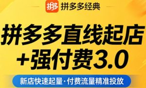 拼多多直线起店+强付费3.0，教你稳定起店、高效控投产、破解流量瓶颈（更新4月）-升阶有道