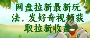 网盘拉新最新玩法，发好奇视频获取拉新收益，抖音收藏家玩法-升阶有道