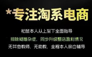 松鼠会电商VIP课程，从基础布局到高阶优化，助你掌握淘宝运营逻辑，提升店铺流量与转化-升阶有道