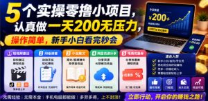 5个实操零撸小项目，认真做一天200无压力，操作简单，新手小白看完秒会【揭秘】-升阶有道