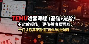 TEMU运营课程（基础+进阶），不止教操作，更传授底层思维，一门让你真正看懂TEMU的进阶课-升阶有道