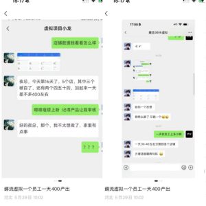薅流虚拟2.0陪跑课，0成本AI流程化操作，淘宝+闲鱼同步玩法，上一次货两个平台有收益，单店每天200纯利润-升阶有道