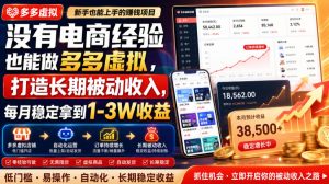 没有电商经验也能做多多虚拟，打造长期被动收入，每月稳定拿到1-3W收益【揭秘】-升阶有道