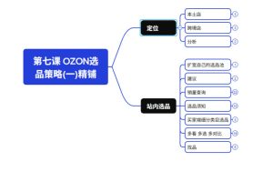 2026最新OZON全流程运营实操跨境电商平台教程，OZON全流程一站式系统学习必修课，从开店到跟卖到精铺-升阶有道