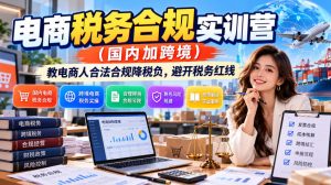 电商税务合规实训营（国内加跨境），教电商人合法合规降税负，避开税务红线-升阶有道