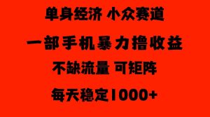 26年暴力单身经济,稳定日入500-1k,不缺流量,流量极大,冷门小众赛道,门槛低小白轻松上手【揭秘】-升阶有道