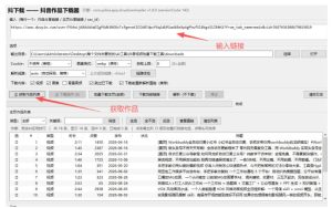 抖音批量视频下载工具，一键下载高清无水印视频，到手就能用-升阶有道