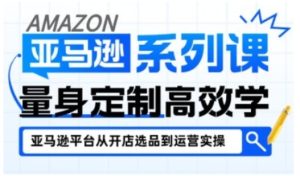 亚马逊新手开店从入门到精通,全面覆盖亚马逊开店各阶段要点,助新手从入门到精通-升阶有道