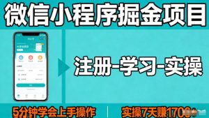 微信小程序掘金项目，项目很简单，5分钟就能学会上手操作，实操7天賺了1700+【揭秘】-升阶有道
