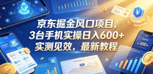京东掘金风口项目，3台手机实操日入600+，实测见效，最新教程【揭秘】-升阶有道