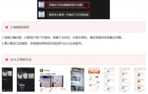KS项目2.0期-拆本周结1W项目思路，几张图撬动流量群体，真的生猛-升阶有道